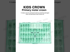 Niños CROWN Coroa molar primaria
