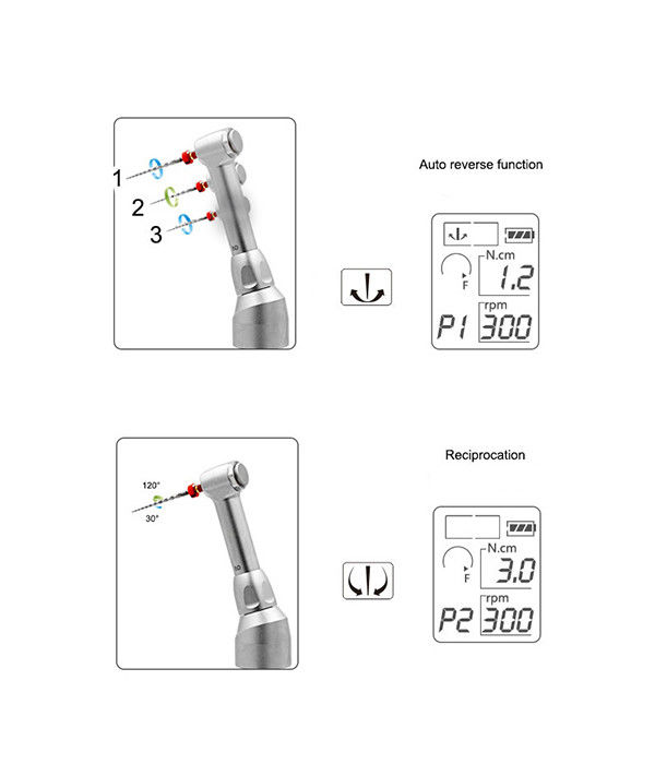 COXO C-smart Mini 2 Dental Endomotor inalámbrico sin cables Equipo de conducto radicular Instrumento dental