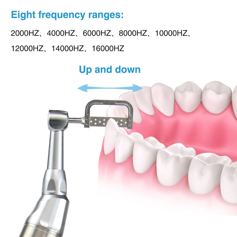 Sistema Dental Eléctrico Inalámbrico IPRS Motor Ortodóntico Sistema Dental Eléctrico Inalámbrico IPR Sistema Ortodóntico y Polido 2 en 1 Motor Tipo-C Puerto de carga